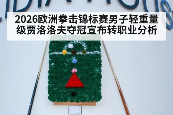 2026欧洲拳击锦标赛男子轻重量级贾洛洛夫夺冠宣布转职业分析