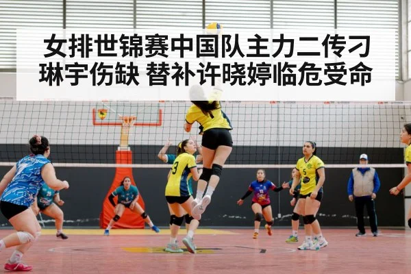 chinese women's volleyball team