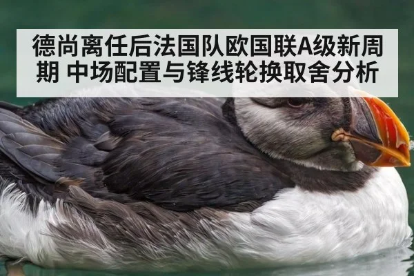 德尚离任后法国队欧国联A级新周期 中场配置与锋线轮换取舍分析